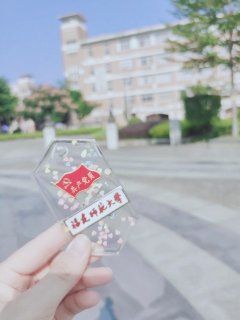 zc鹲